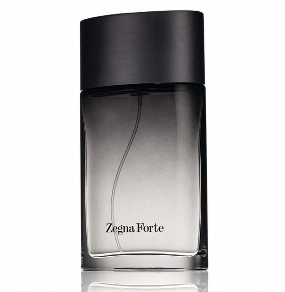 Perfume Ermenegildo Zegna Zegna Forte Eau de Toilette Masculino 100ML