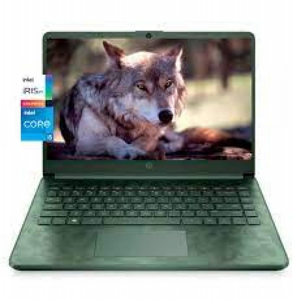 Notebook HP 14-DQ2088WM I5 1135G7/8/256/14" Verde