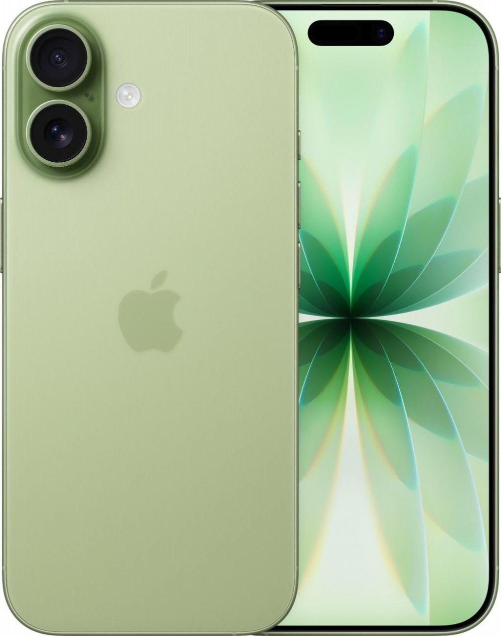 Iphone 17 256GB Verde A3258LL Esim
