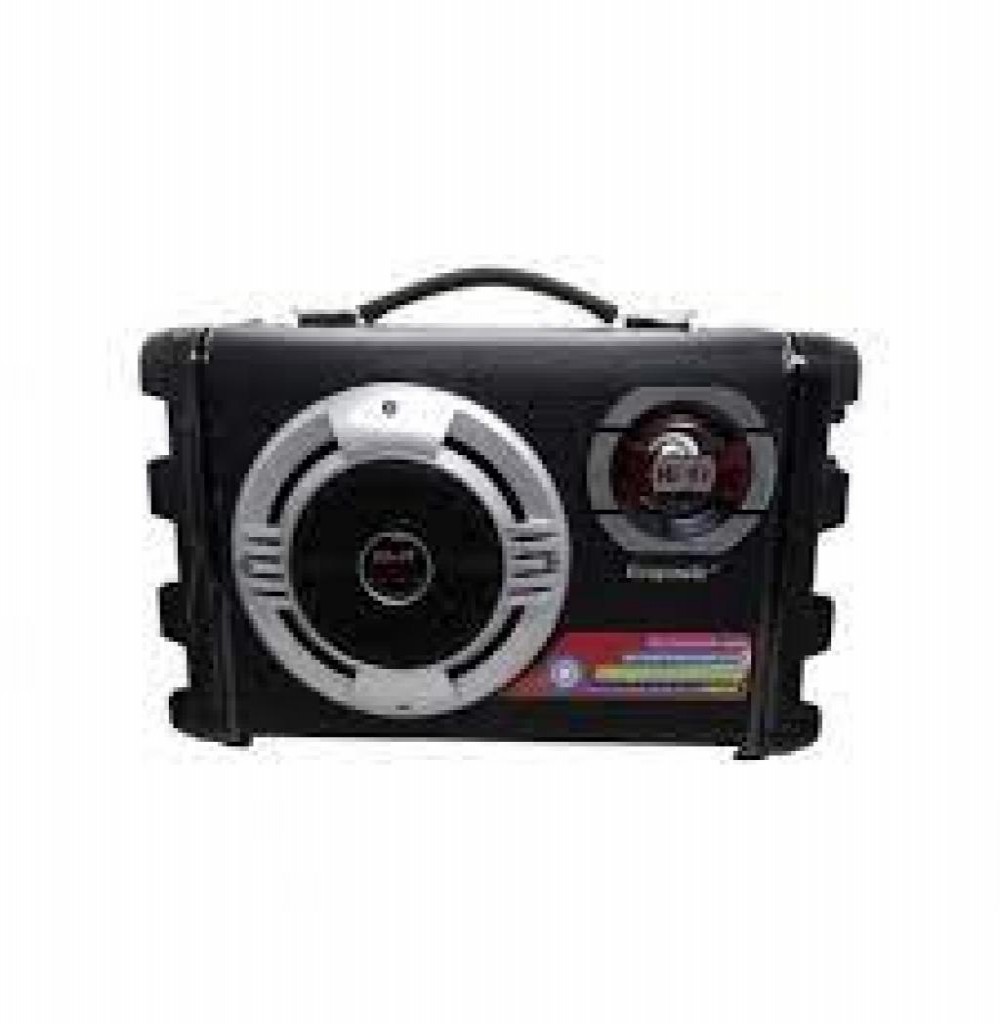 Radio Ecopower EP-2220