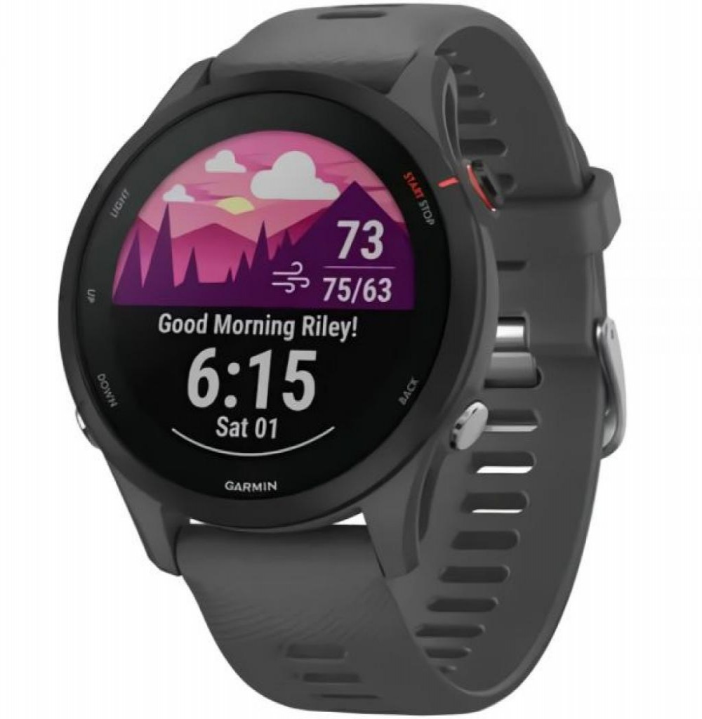 Relógio Garmin Forerunner 255 Basic Slate Gray